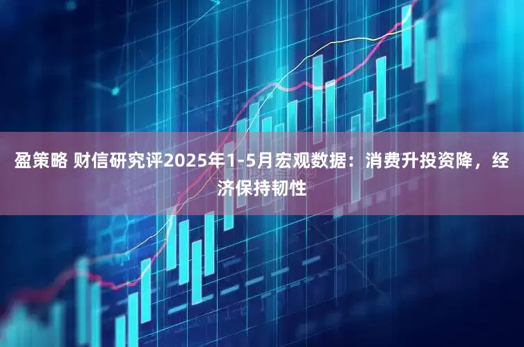 盈策略 财信研究评2025年1-5月宏观数据：消费升投资降，经济保持韧性