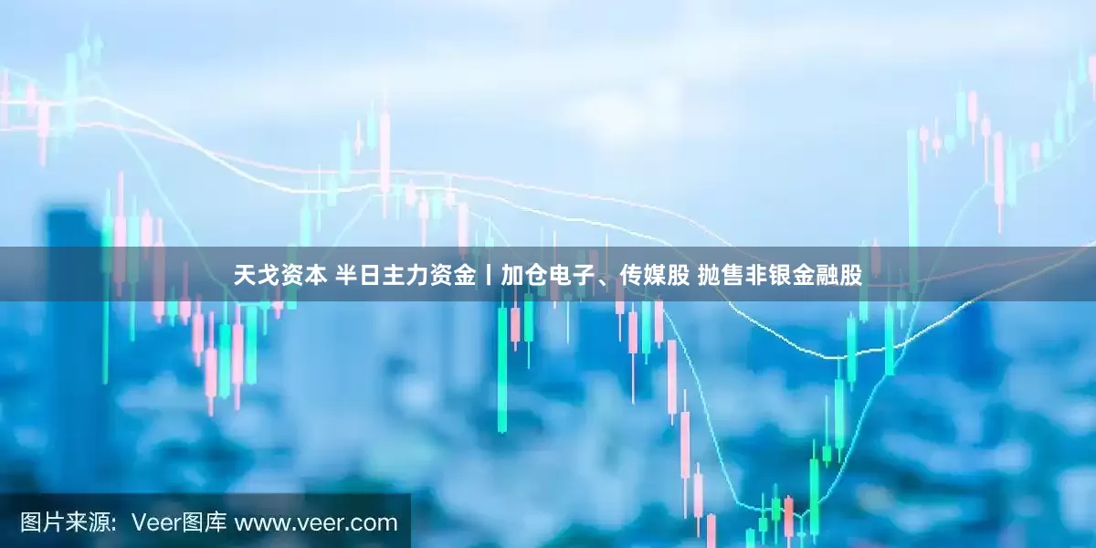 天戈资本 半日主力资金丨加仓电子、传媒股 抛售非银金融股