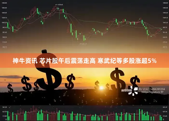 神牛资讯 芯片股午后震荡走高 寒武纪等多股涨超5%