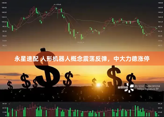 永星速配 人形机器人概念震荡反弹，中大力德涨停